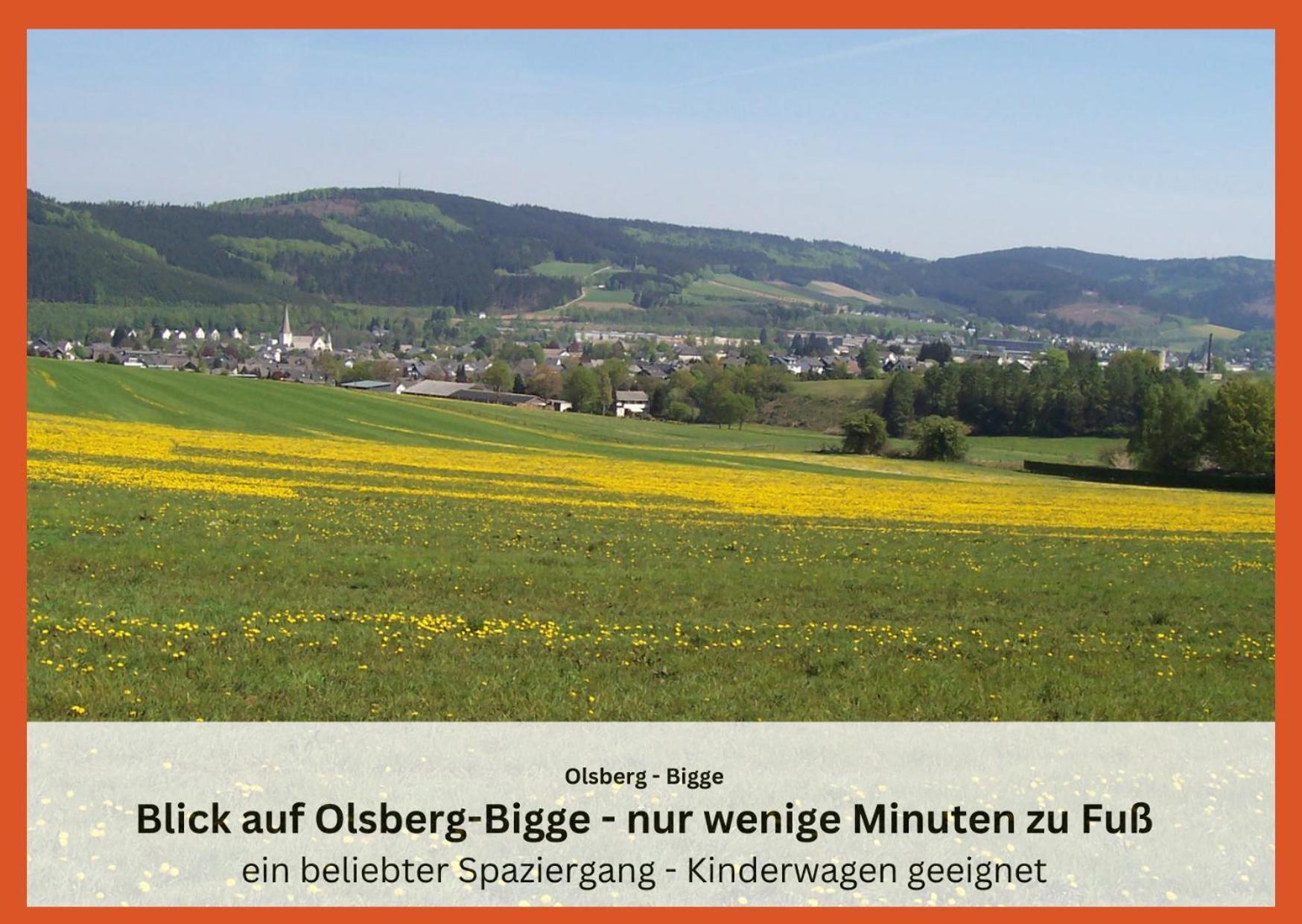 Ferienwohnungen Sauerland Und Olsberg Exterior foto