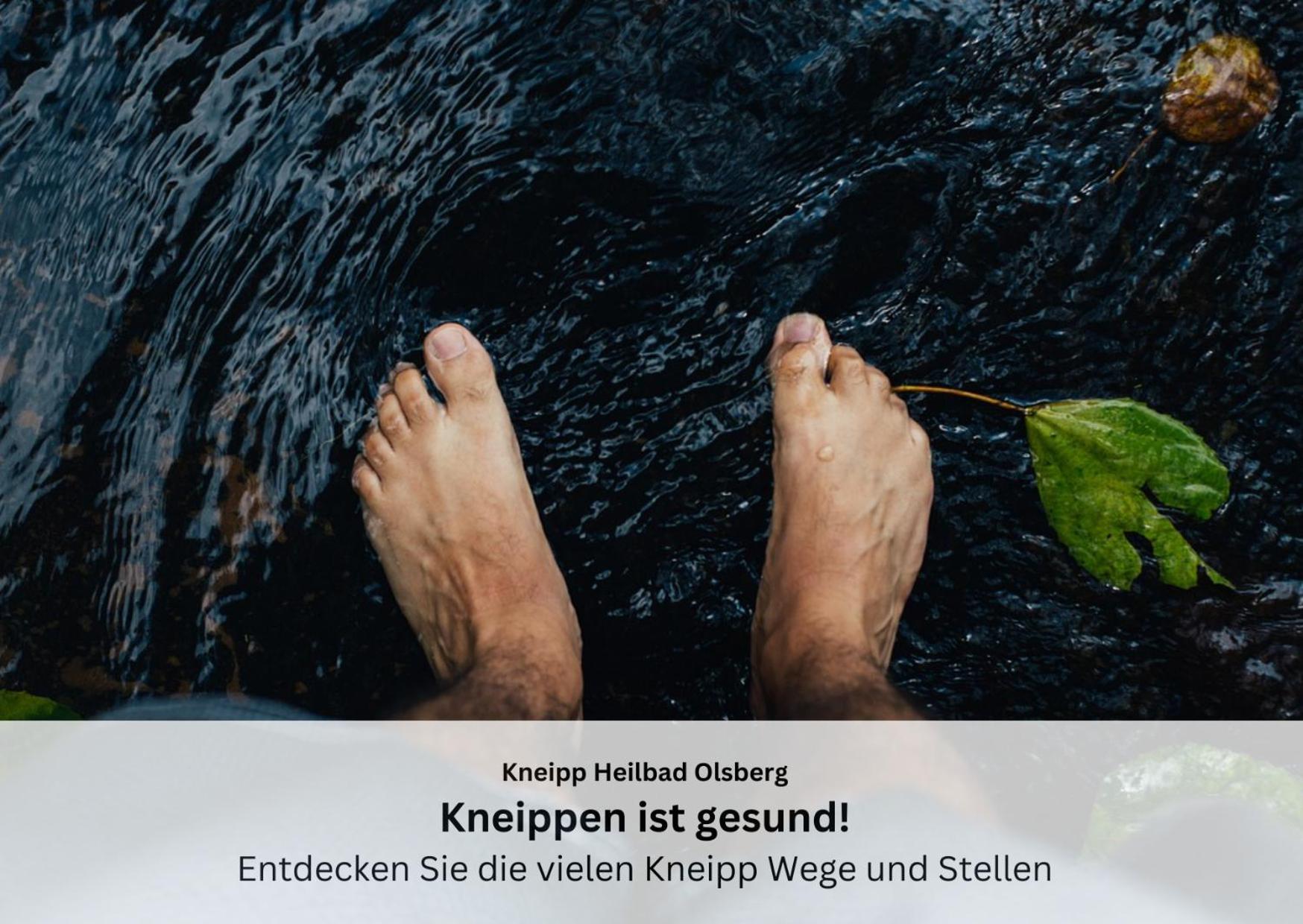 Ferienwohnungen Sauerland Und Olsberg Exterior foto